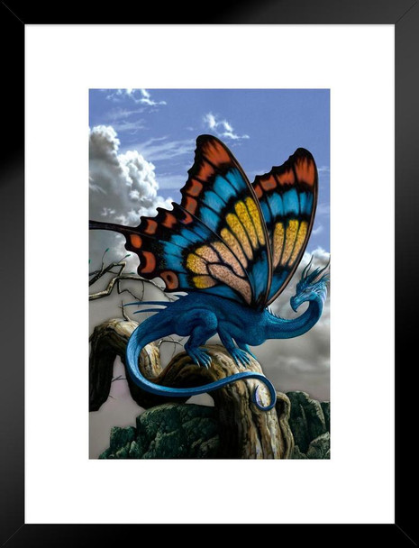 Drakerfly Monarch Butterfly Dragon by Ciruelo Artist Painting Fantasy Matted Framed Wall Decor Art Print 20x26