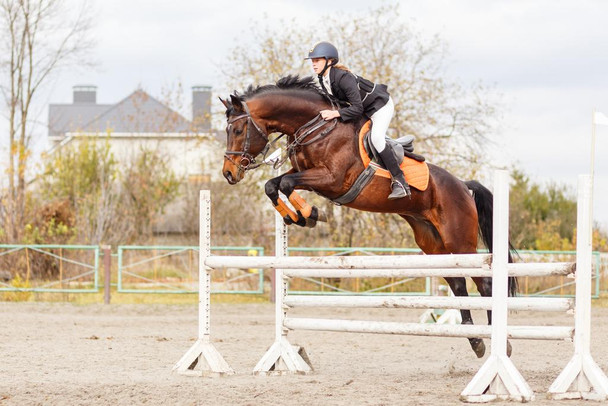 Young Female Rider Jumping Over Hurdle Poster Horse Pictures Wall Decor Horse Poster Print Horse Breed Poster Running Posters For Girls Horse Picture Wall Art Cool Wall Decor Art Print Poster 36x24