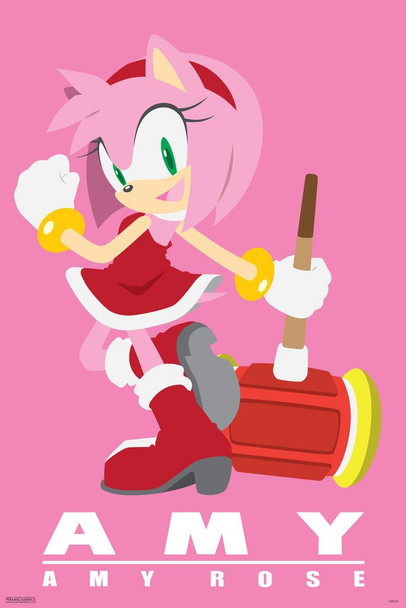 Laminated Sonic the Hedgehog Amy Rose Video Game Gaming Poster Dry Erase Sign 24x36
