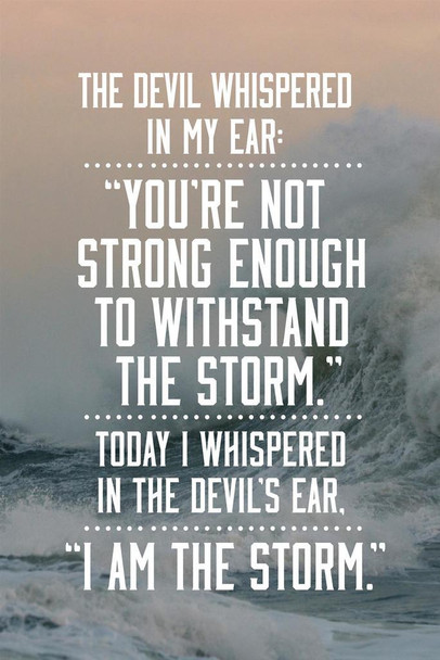 I Am The Storm Quote Ocean Sea Photo Motivational Inspirational Teamwork Inspire Quotation Gratitude Positivity Support Motivate Sign Good Vibes Carpe Diem Thick Paper Sign Print Picture 8x12