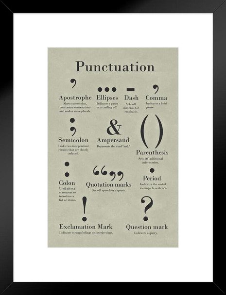 Punctuation Grammar and Writing Classroom English Class Posters Depth Of Knowledge Lit Literary Terms Library Decorations High School Teacher Home Chart Speech Matted Framed Art Wall Decor 20x26