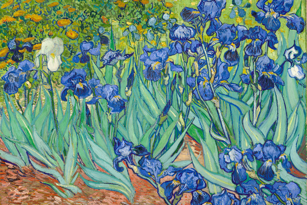 Vincent Van Gogh Irises Flower Poster 1890 Dutch Post Impressionist Landscape Painting Nature Cool Wall Decor Art Print Poster 36x24