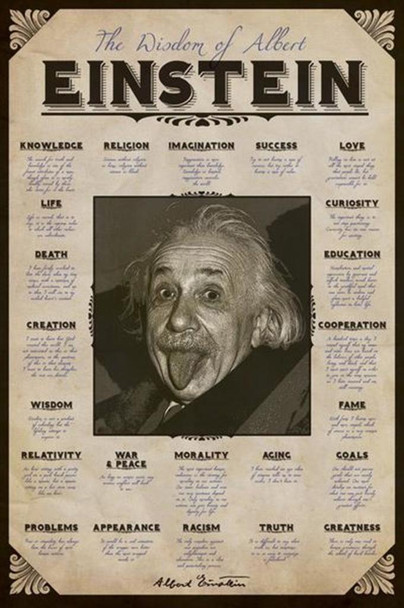 Wisdom of Albert Einstein Famous Quotes Cool Wall Decor Art Print Poster 24x36