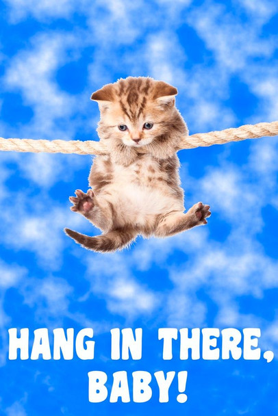 Laminated Hang In There Baby! Kitten Hanging From Rope Retro Motivational Inspirational Teamwork Quote Inspire Quotation Positivity Support Motivate Good Vibes Poster Dry Erase Wall Art 24x36