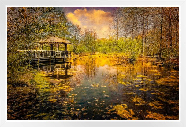 The Pond by Chris Lord Photo Photograph White Wood Framed Art Poster 14x20