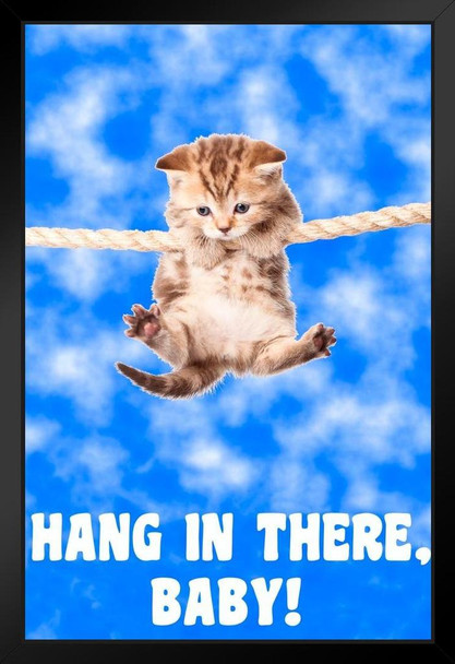 Hang In There Baby! Kitten Hanging From Rope Retro Motivational Inspirational Teamwork Quote Inspire Quotation Positivity Support Motivate Sign Good Vibes Stand or Hang Wood Frame Display 9x13