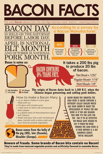 Bacon Facts Infographic Chart Cool Wall Decor Art Print Poster 24x36