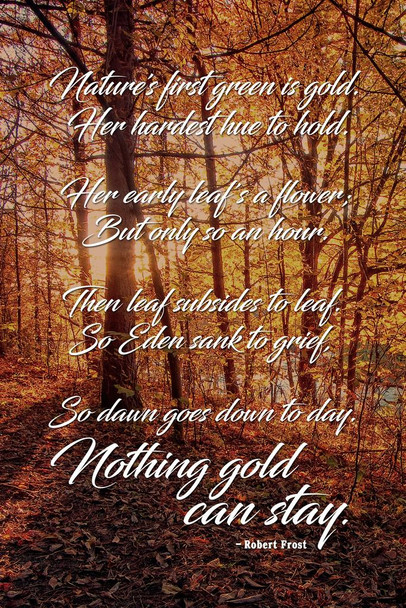 Laminated Nothing Gold Can Stay Robert Frost Poem Poetry Inspirational Motivational Classroom Literature Forest Photograph Nature Poster Dry Erase Sign 12x18