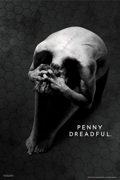 Penny Dreadful Skull Horror TV Show Showtime Merchandise Television Series Cool Wall Decor Art Print Poster 12x18