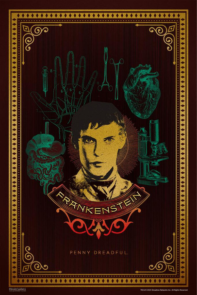 Penny Dreadful Victor Frankenstein Horror TV Show Showtime Merchandise Television Series Cool Wall Decor Art Print Poster 24x36
