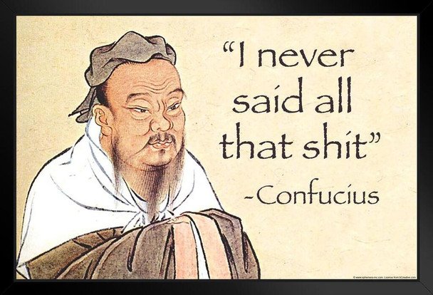 Confucius I Never Said All That Sht Funny Meme Fake Quote College Dorm Philosophy Demotivational Snarky Ironic Sarcastic Picture Modern Wood Frame Display 9x13