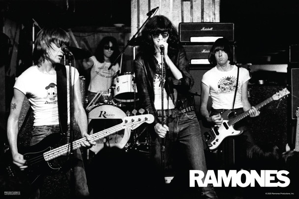 The Ramones Band Live Concert Photo Retro Vintage Classic Punk Rock Music Cool Wall Decor Art Print Poster 12x18