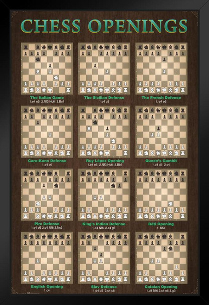 Chess Openings Game Room Decor Chart Moves Defense Stand or Hang Wood Frame Display 9x13