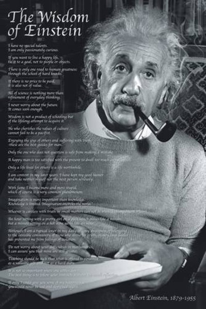 The Wisdom of Einstein Cool Wall Decor Art Print Poster 24x36