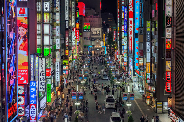 Kabukicho Lights Shinjuku District Tokyo Japan Photo Photograph Cool Wall Decor Art Print Poster 18x12