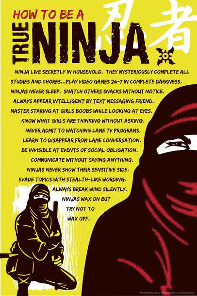 How To be A True Ninja Funny Stretched Canvas Art Wall Decor 16x24