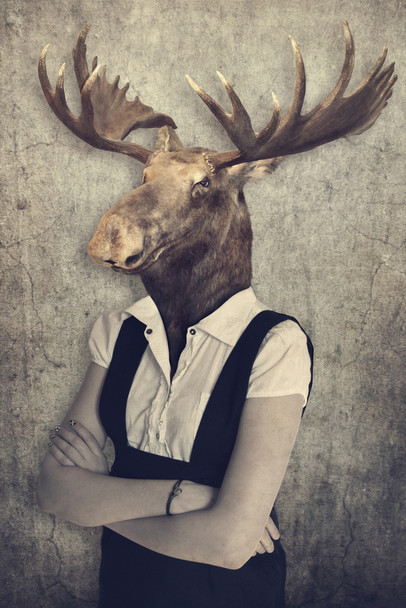 Moose Head Wearing Human Clothes Funny Parody Animal Face Portrait Art Photo Cool Wall Decor Art Print Poster 12x18