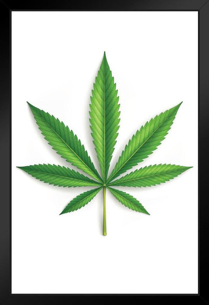 Cannabis Leaf Marijuana 420 Art Print Stand or Hang Wood Frame Display Poster Print 9x13
