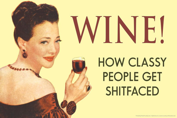 Wine! How Classy People Get Shtfaced Humor Stretched Canvas Art Wall Decor 24x16