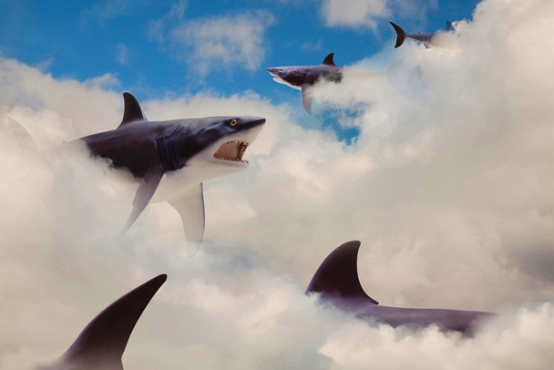 Sharks Floating in Clouds Fin Fantasy Shark Posters For Walls Shark Pictures Cool Great White Shark Picture Great White Shark Art Great White Shark Jaws Cool Wall Decor Art Print Poster 18x12