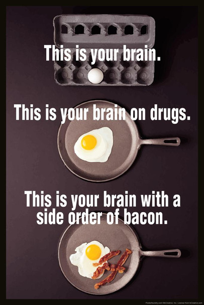 This is Your Brain On Drugs With A Side of Bacon Funny Stretched Canvas Art Wall Decor 16x24