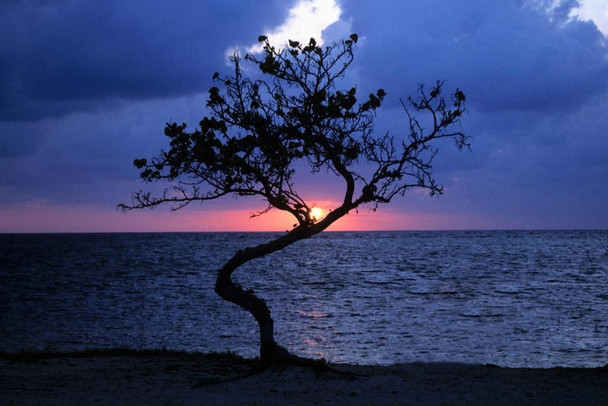 Sunset Over the Sea Blackbeards Caye Belize Photo Print Stretched Canvas Wall Art 24x16 inch