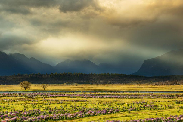 Landscape View Near Lake Tekapo New Zealand Photo Print Stretched Canvas Wall Art 24x16 inch