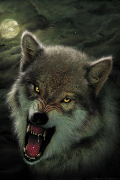 Nightbreed Wolf Growling at Night by Vincent Hie Wolf Posters For Walls Posters Wolves Print Posters Art Wolf Wall Decor Nature Posters Wolf Decorations Stretched Canvas Art Wall Decor 16x24