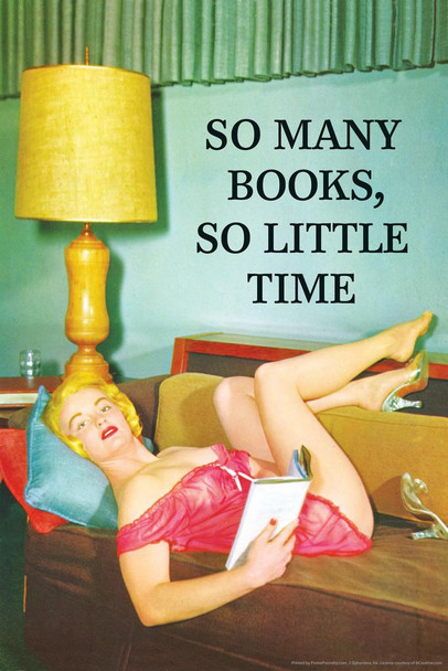 So Many Books So Little Time Retro Humor Funny Stretched Canvas Wall Art 16x24 inch
