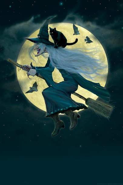 Witch Flying Broom Moon by Vincent Hie Print Stretched Canvas Wall Art 16x24 inch