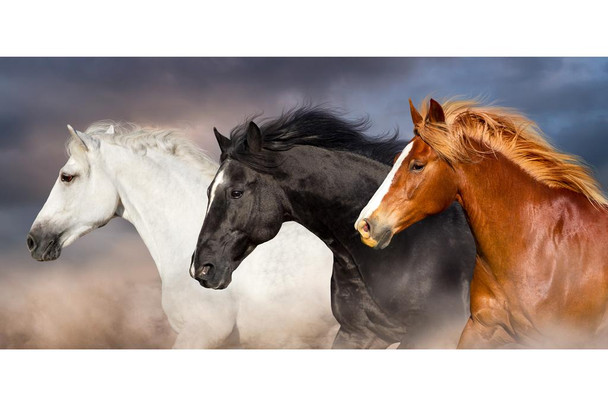 Horses Racing Portrait Stallion Mare Wild Horses Decor Galloping Horses Wall Art Horse Poster Print Poster Horse Pictures Wall Decor Running Horse Breed Poster Stretched Canvas Art Wall Decor 16x24