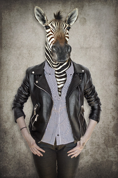 Zebra Head Wearing Human Clothes Wild Animal Mashup Funny Parody Animal Face Portrait Art Photo Cool Wall Decor Art Print Poster 12x18