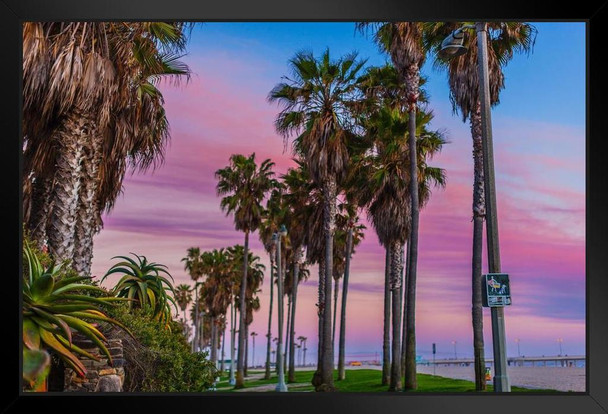 View down Ocean Front Walk Toward Venice Pier Venice Beach California Photo Photograph Art Print Stand or Hang Wood Frame Display Poster Print 13x9