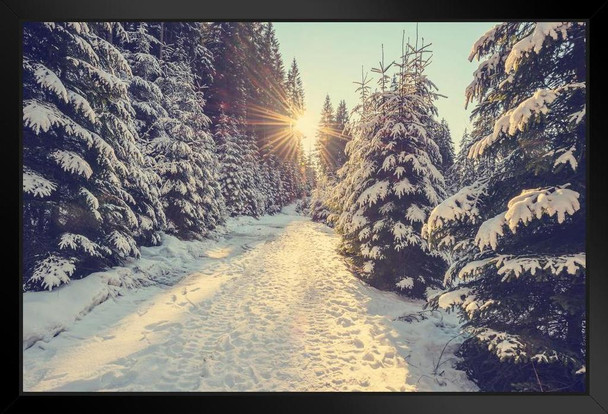 Sun Setting Snowy Mountain Trail Pine Trees Winter Christmas Sunset Photo Landscape Pictures Scenic Scenery Nature Photography Paradise Scenes Stand or Hang Wood Frame Display 9x13