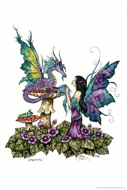 Companions Fairy And Dragon Friends by Amy Brown Fantasy Poster Colorful Flower Nature Wings Stretched Canvas Art Wall Decor 16x24