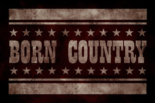 Born Country Vintage Dark Stretched Canvas Wall Art 16x24 inch