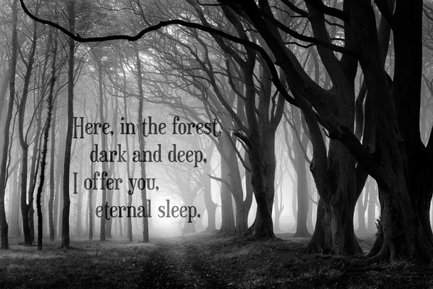 Here In The Forest Dark and Deep Eternal Sleep Creepy Horror Woods Quote Spooky Scary Halloween Decorations Stretched Canvas Art Wall Decor 16x24