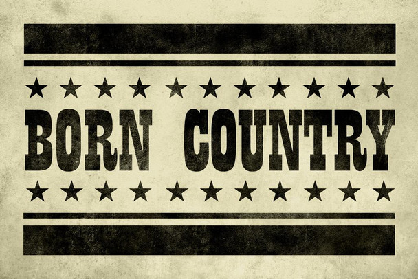 Born Country Vintage Tan Print Stretched Canvas Wall Art 16x24 inch