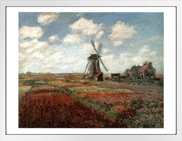 Claude Monet Field Of Tulips In Holland 1886 French Impressionist Oil Canvas Painting White Wood Framed Poster 14x20