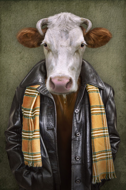 Cow Leather Jacket Head Wearing Human Clothes Funny Parody Animal Face Portrait Art Photo Cool Wall Art Print Poster 12x18