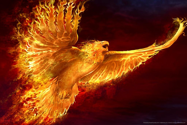 Phoenix Rising Flaming Eagle by Tom Wood Fantasy Poster Bird On Fire Like Dragon Magical Mystical Animal Creature Stretched Canvas Art Wall Decor 16x24