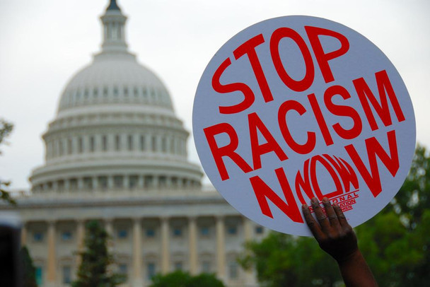 Stop Racism Now Protest Sign US Capitol Photo Print Stretched Canvas Wall Art 24x16 inch