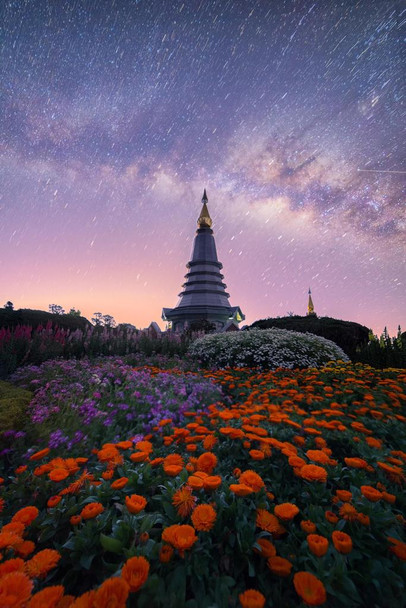 The Milky Way and Garden with Buddha Relics Photo Print Stretched Canvas Wall Art 16x24 inch