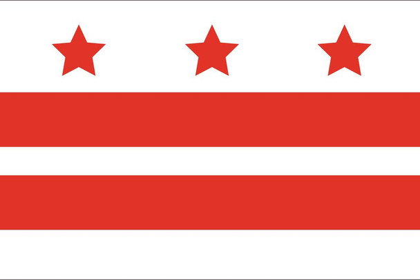 Washington DC City Flag Stretched Canvas Wall Art 16x24 inch