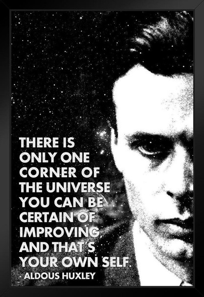 One Corner of the Universe You Can Improve Aldous Huxley Monochrome Famous Motivational Inspirational Quote Art Print Stand or Hang Wood Frame Display Poster Print 9x13