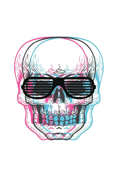 3D Retro Red Blue Skull Image Shutter Sunglasses Poster Design Optical Illusion Left Right Eye Stretched Canvas Art Wall Decor 16x24