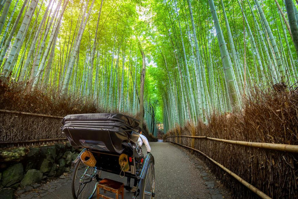 Tourist in a Rickshaw at Bamboo Forest Arashiyama Photo Print Stretched Canvas Wall Art 24x16 inch