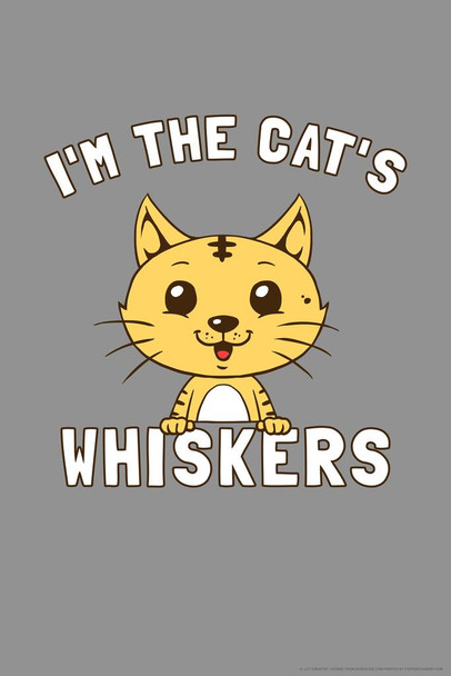 Im The Cats Whiskers Cute Funny Cat Poster Funny Wall Posters Kitten Posters for Wall Motivational Cat Poster Funny Cat Poster Inspirational Cat Poster Stretched Canvas Art Wall Decor 16x24