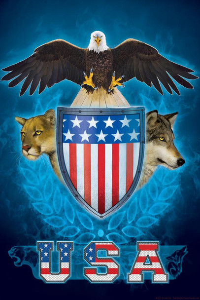 USA Trinity Bald Eagle Lion Wolf Shield by Vincent Hie Strength Print Stretched Canvas Wall Art 16x24 inch