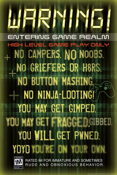 Warning Entering Game Realm Video Gaming Stretched Canvas Art Wall Decor 16x24